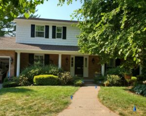 Before - Overgrown Landscape